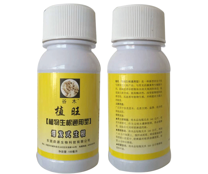 植旺（爆发式生根）