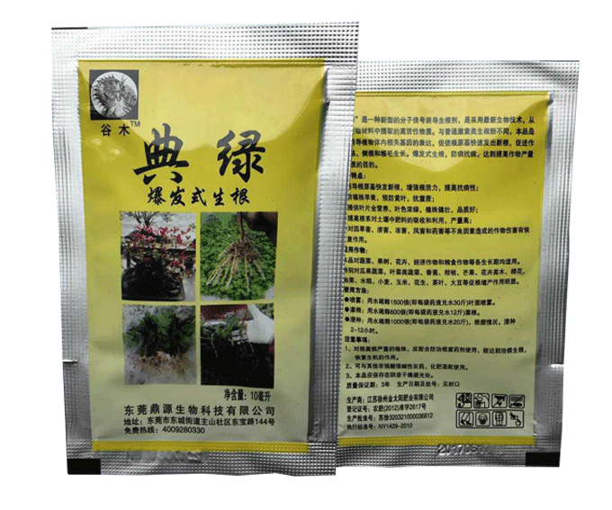 典绿（爆发式生根）